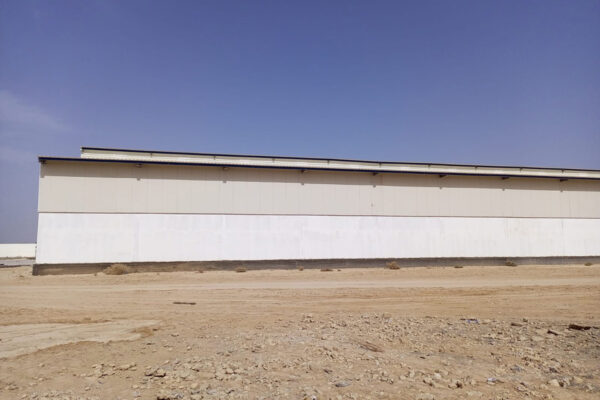 iraq (4)
